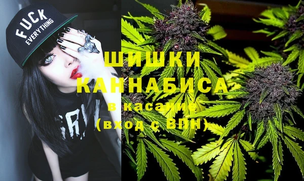 ГАЛЛЮЦИНОГЕННЫЕ ГРИБЫ Балабаново