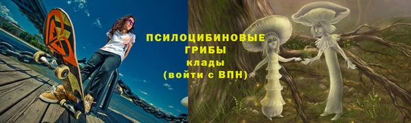 тгк Балахна
