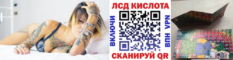 как найти   Судак  Марки N-bome 1,8мг 