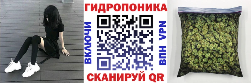 закладка  Судак  блэк спрут зеркало  Канабис планчик 